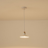 LÁMPARA DE TECHO COLGANTE DE METAL 1xE27 MAX 40W 180x1140mm ARTE ILLUMINA CHROMA
