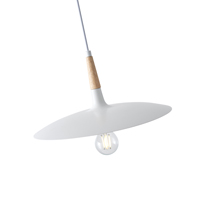LÁMPARA DE TECHO COLGANTE DE METAL 1xE27 MAX 15W 180x1140mm ARTE ILLUMINA ESSENTIAL