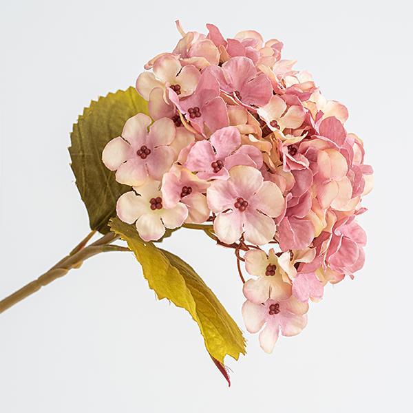 HORTENSIA, BEIGE-ROSA, 17x45cm