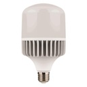 BOMBILLA "HAMMER" SMD T80 30W 3000lm E27 100-277V