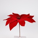 GRANDE POINSETTIA, ROJA, 50x52cm