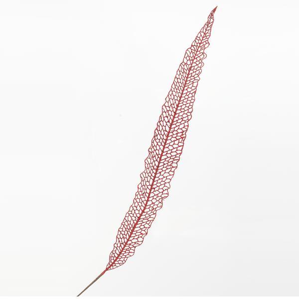 PLUMA ROJA, 115cm