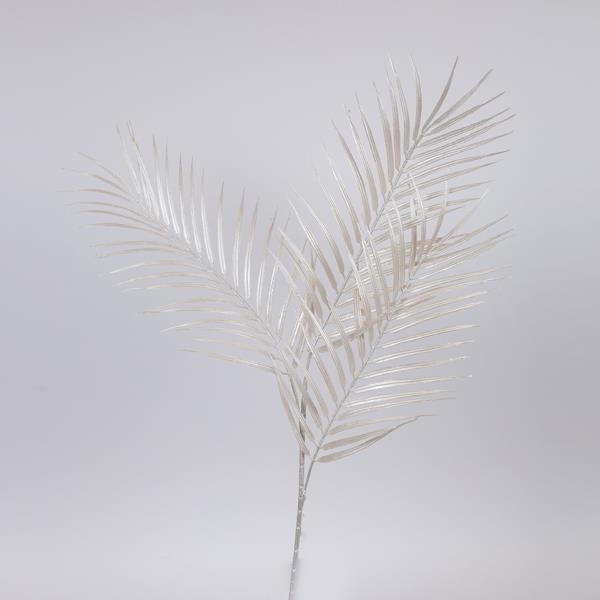 CUARTA RAMA DE HELECHO, PERLA BLANCA, 89 cm