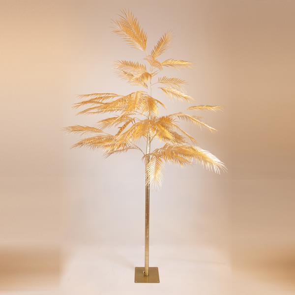 HELECHO DORADO DE ÁRBOL, 250cm