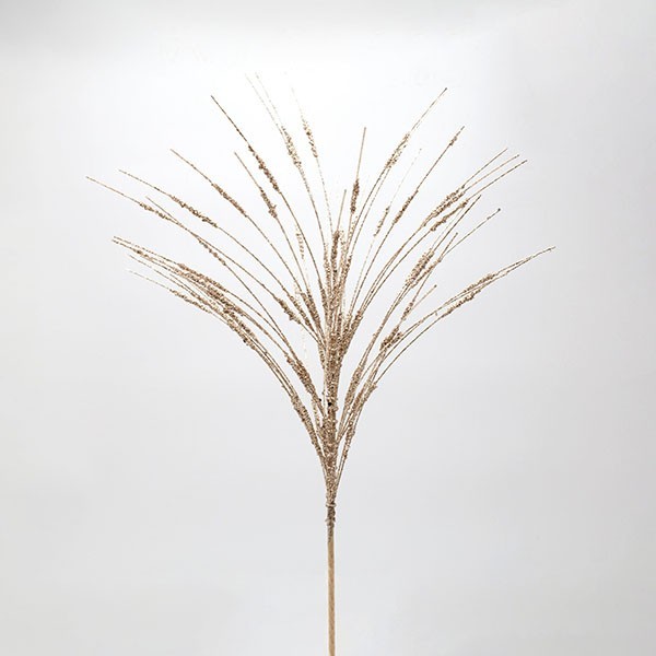 RAMA DE TOGA, CHAMPÁN, 61 CM