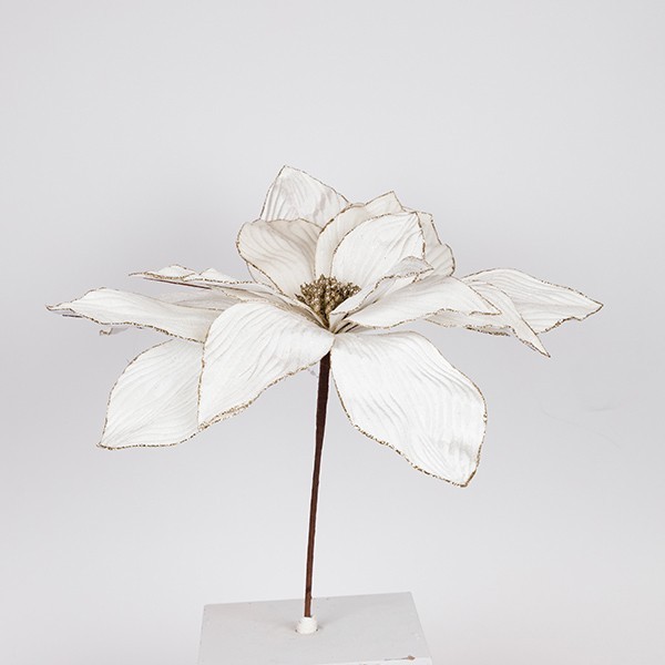 GRANDE POINSETTIA, MARFIL, 50X45CM