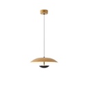 LÁMPARA DE TECHO COLGANTE PINTURA MADERA LED 7W 338lm 3000K Ø345x1215mm ARTE ILLUMINA PENNY