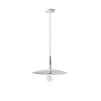LÁMPARA DE TECHO COLGANTE DE METAL 1xE27 MAX 15W 180x1140mm ARTE ILLUMINA ESSENTIAL