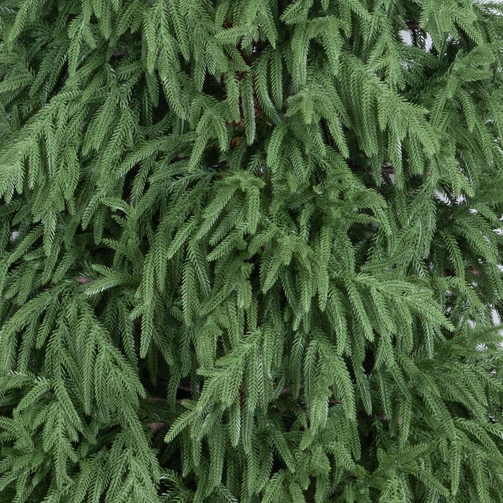 MONTEREY ABETO ÁRBOL, PE, 210CM