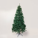 ABETO MONTE MECSEK, 180CM