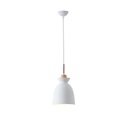 LÁMPARA COLGANTE METAL 1xE27 MAX 15W 195x1294mm ARTE ILLUMINA SIMPLO