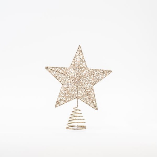 [600-45642] TOP ÁRBOL, CHAMPÁN, CUADRICULA, 20x25cm