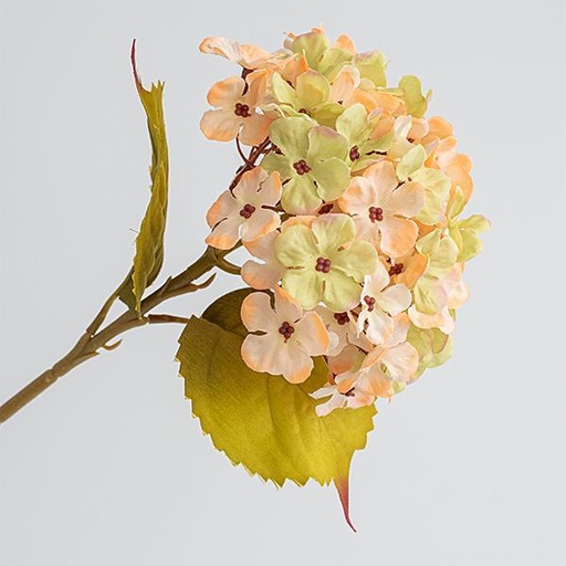 [600-45443] HORTENSIA, BEIGE, 17x45cm