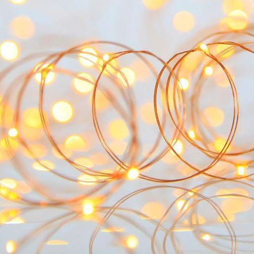 [600-07321] LINEA 100 MINI LED, ADAPTADOR 4.5V, FIJA, HILO COLOR COBRE, LED LUZ DIURNA POR 10cm, CABLE 5m, IP44