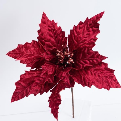 [600-46168] FLOR DE PASIÓN DE TERCIOPELO, BORGOÑA, 37x24cm