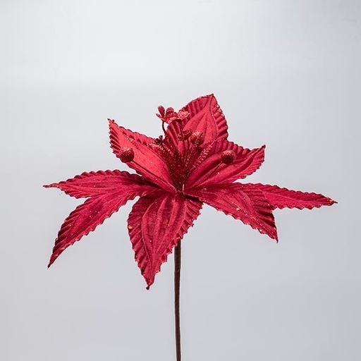 [600-47597] FLOR, BORGOÑA CON DISCRETA LÍNEA DE BRILLO, 30x20cm