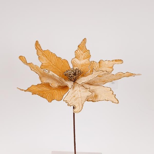 [600-47510] GRANDE FLOR, CHAMPÁN, 44x50cm