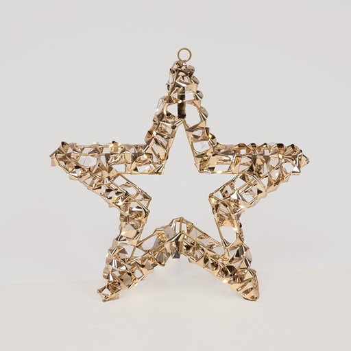 [600-22580] ESTRELLA DORADA ILUMINADA DE 50 cm, 50 LED, PILAS 3XAA, TEMPORIZADOR, CABLE DE COBRE PLATEADO, LED BLANCO CÁLIDO, CABLE DE 30 cm, IP20