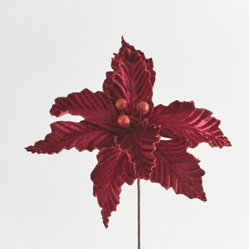 [600-45949] FLOR DE POINSETTI, BORGOÑA, 30x14cm