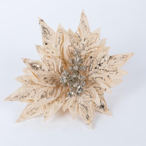[600-46235] FLOR DE POINSETTI, CHAMPÁN, 25 cm
