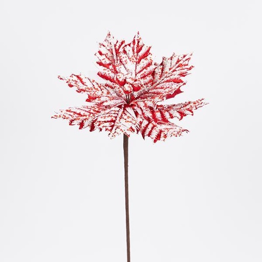[600-47424] POINSETTIA, CARAMELO HELADO, 27X45CM