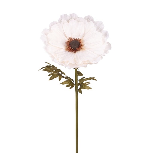 [600-48636] PEONÍA, CREMA, 50X50X120CM
